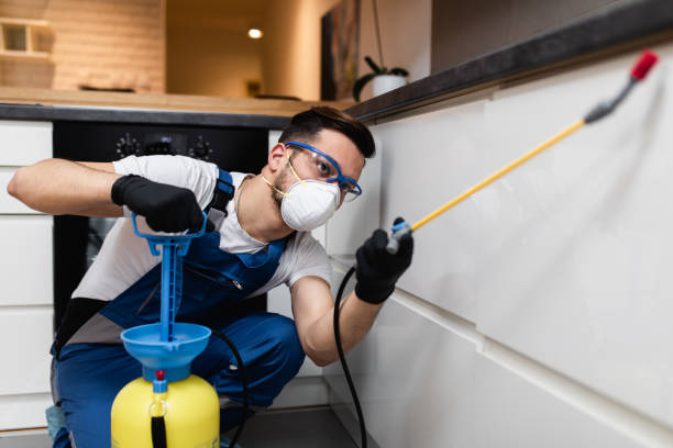 Best Affordable Pest Control Services  in Sea Isle City, NJ