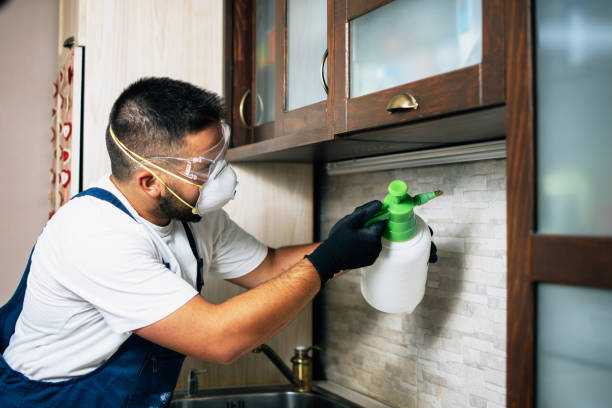 Best Pest Inspection Near Me  in Sea Isle City, NJ