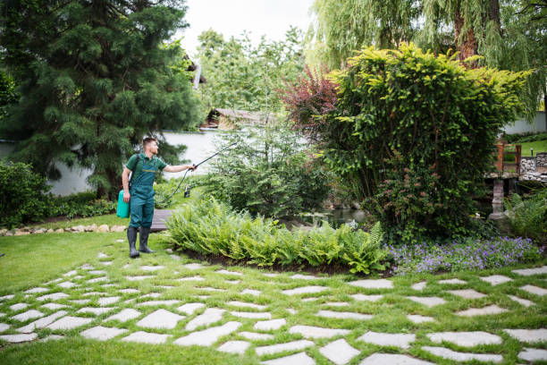Pest Prevention Services in Sea Isle City, NJ