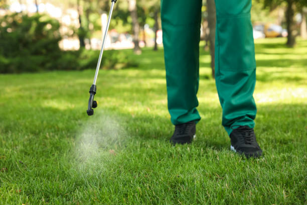 Best Local Pest Control Services  in Sea Isle City, NJ