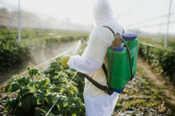 Best Best Pest Control Companies  in Sea Isle City, NJ